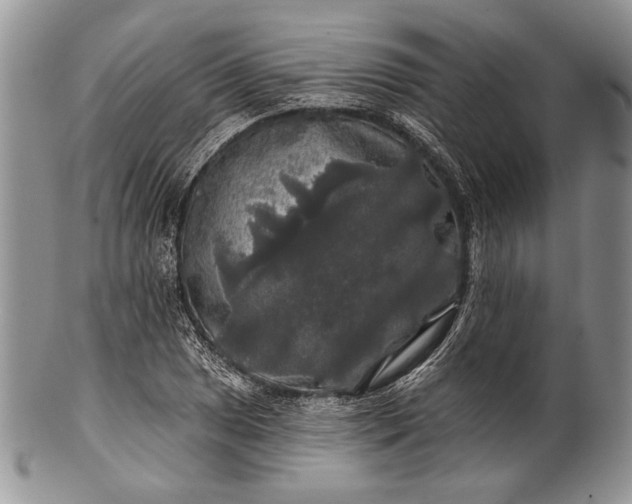 X0000100371025200806201622