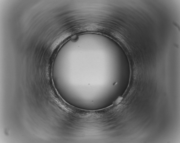 X0000100371026200806201622