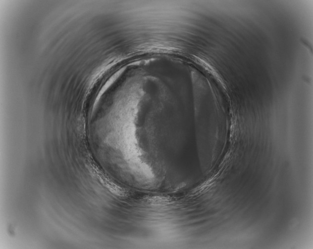 X0000100371027200806201622