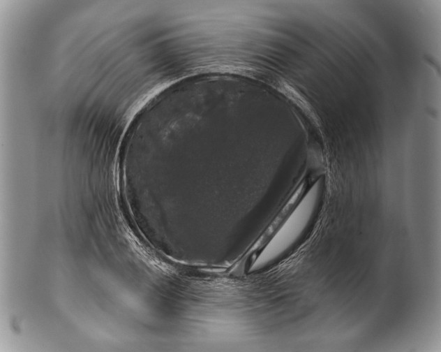 X0000100371028200806201622