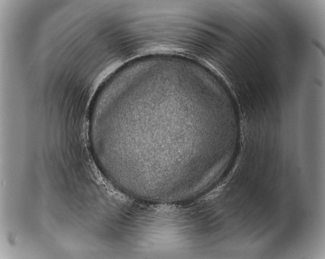 X0000100371029200806201622