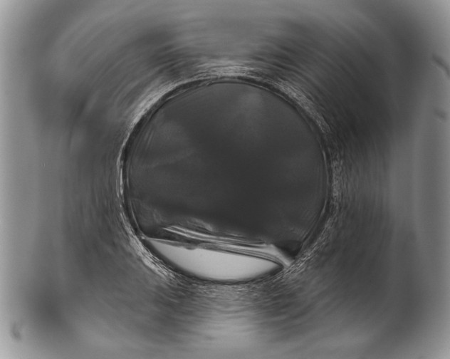 X0000100371031200806201623