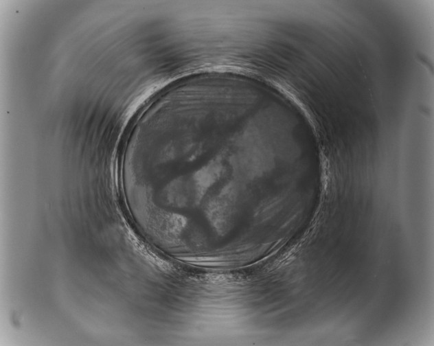 X0000100371032200806201623