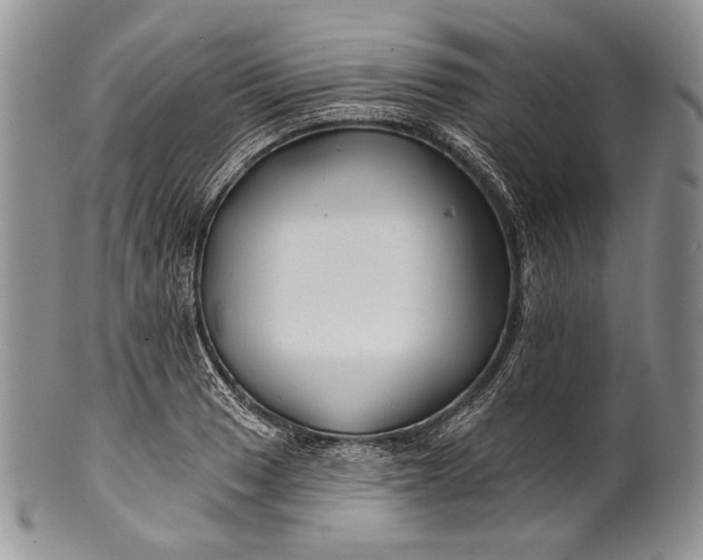 X0000100371033200806201623