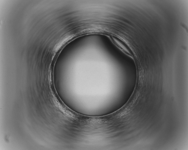 X0000100371034200806201623