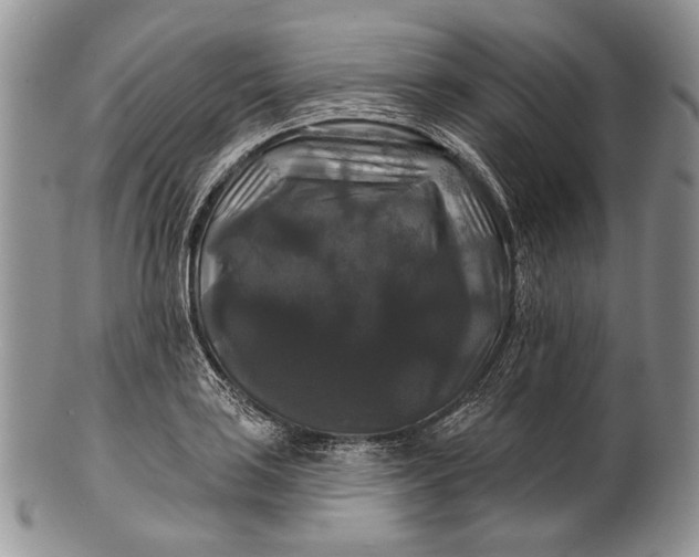 X0000100371035200806201623