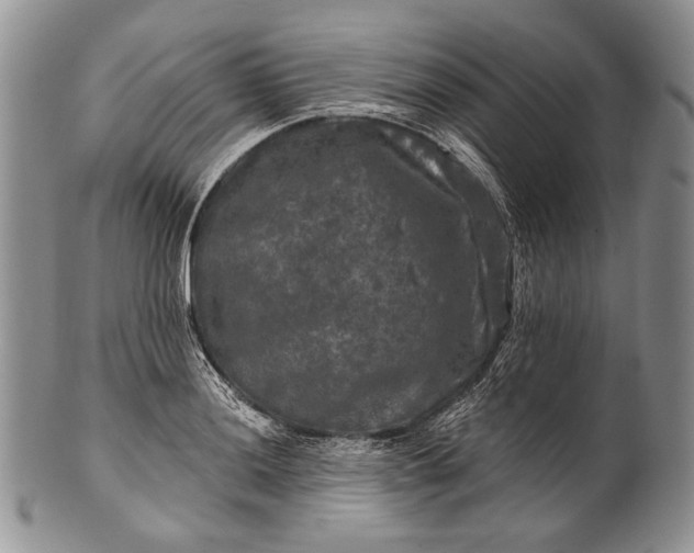 X0000100371036200806201623