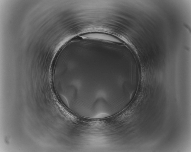 X0000100371037200806201623