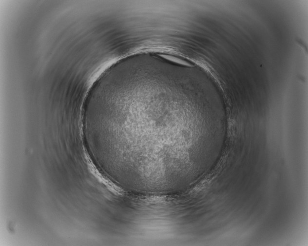 X0000100371038200806201623