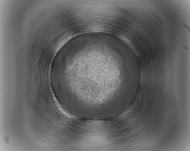 X0000100371039200806201623