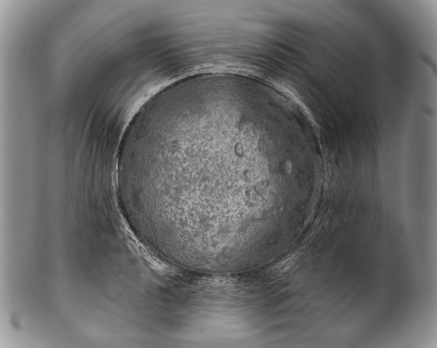 X0000100371040200806201623