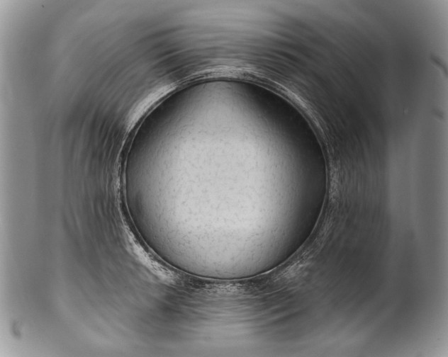 X0000100371042200806201623