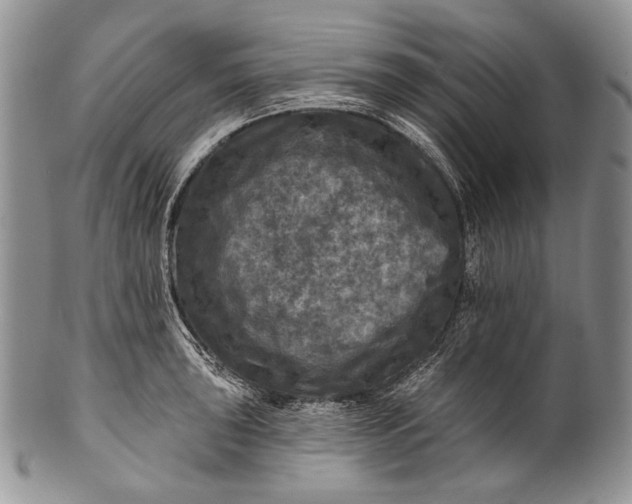 X0000100371043200806201623