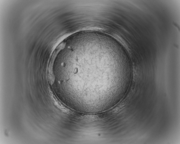 X0000100371044200806201623