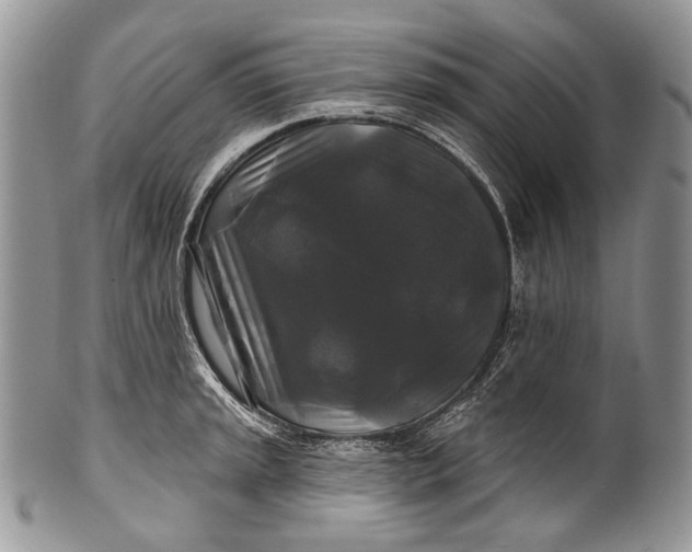 X0000100371045200806201623