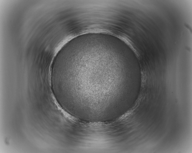 X0000100371046200806201623