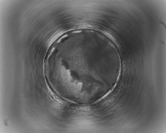 X0000100371047200806201623