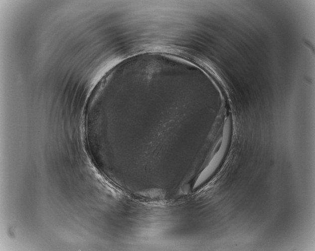 X0000100371048200806201623