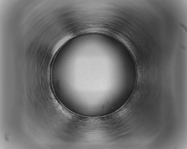 X0000100371050200806201623