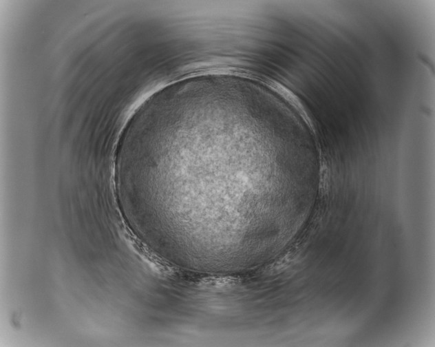 X0000100371051200806201623