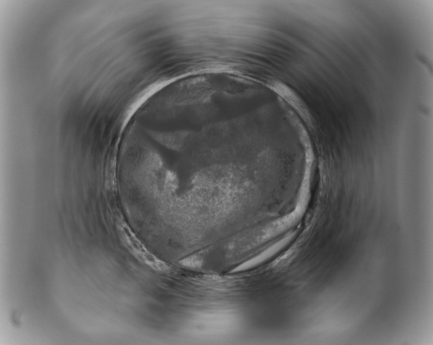 X0000100371052200806201623