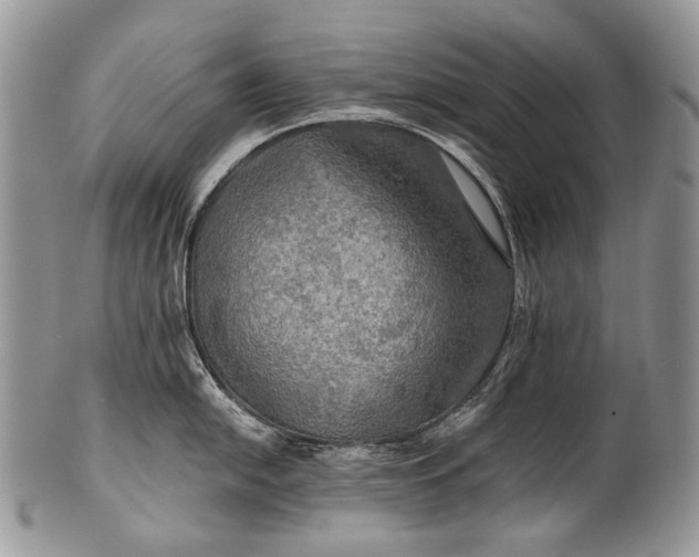 X0000100371054200806201623