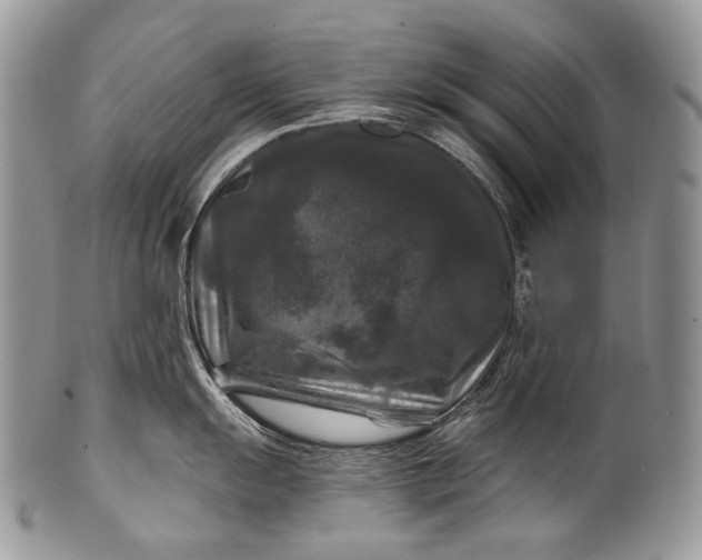 X0000100371055200806201623