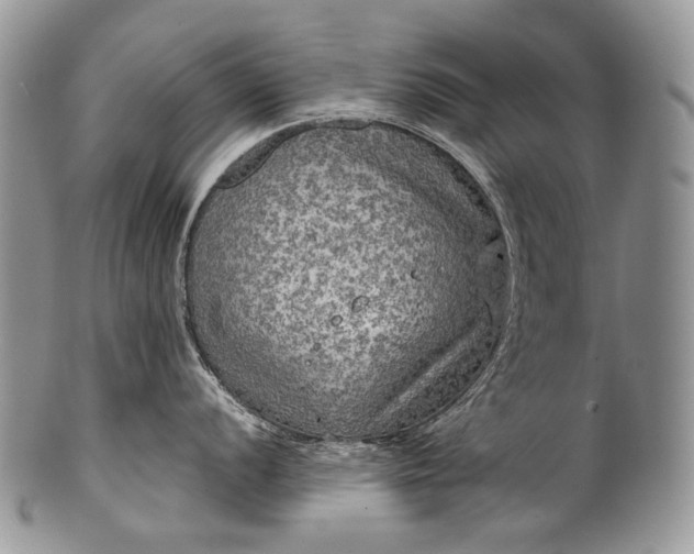 X0000100371056200806201623