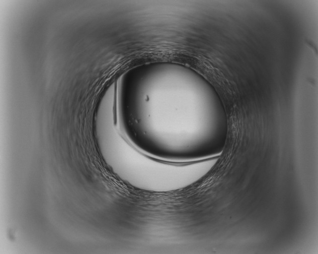 X0000100371057200806201622