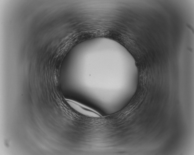 X0000100371058200806201622