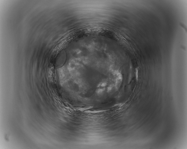 X0000100371059200806201622