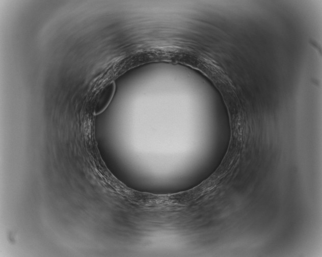 X0000100371061200806201622