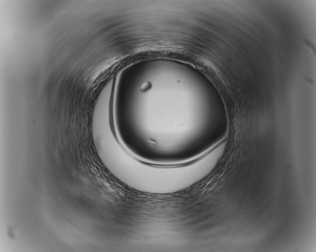 X0000100371064200806201622