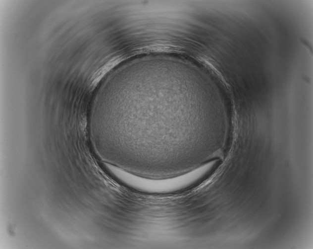 X0000100371065200806201622