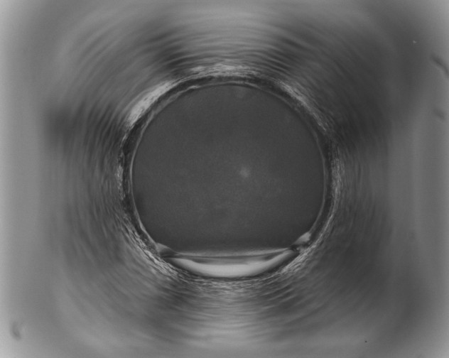 X0000100371066200806201622