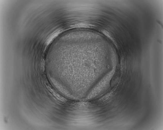 X0000100371067200806201622