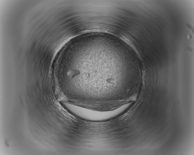 X0000100371068200806201622