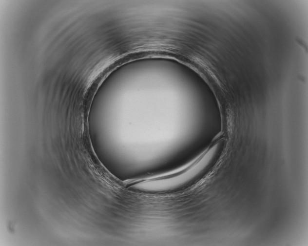 X0000100371069200806201622