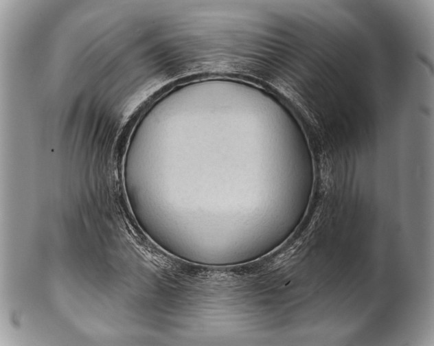 X0000100371070200806201622