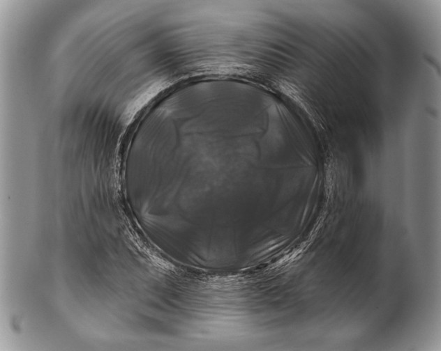 X0000100371071200806201622