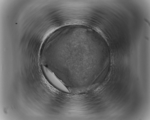 X0000100371072200806201622