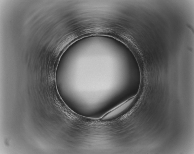 X0000100371073200806201622