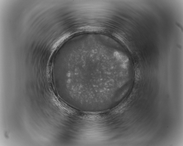 X0000100371074200806201622