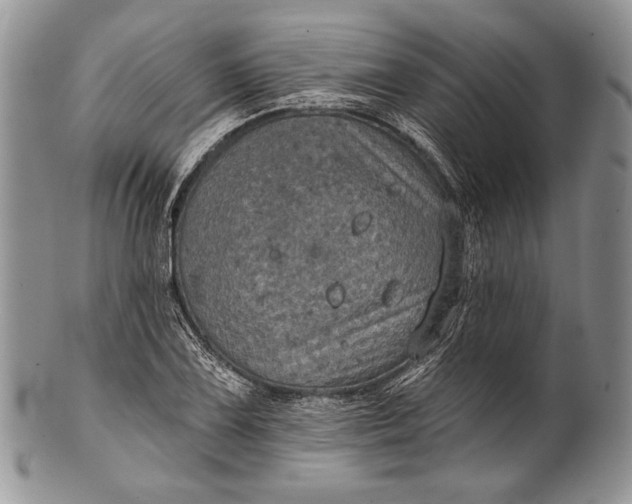 X0000100371075200806201622