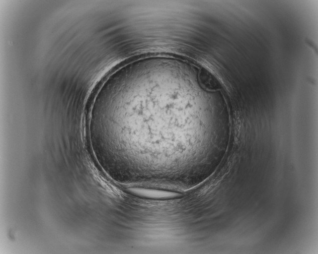 X0000100371076200806201622