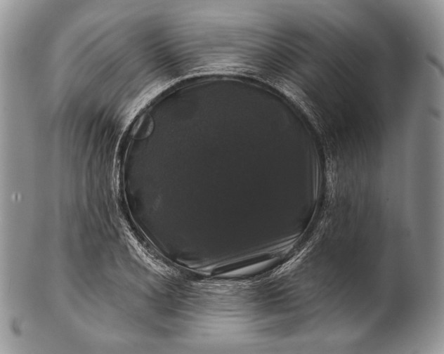 X0000100371077200806201622