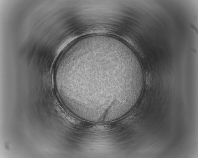 X0000100371078200806201622