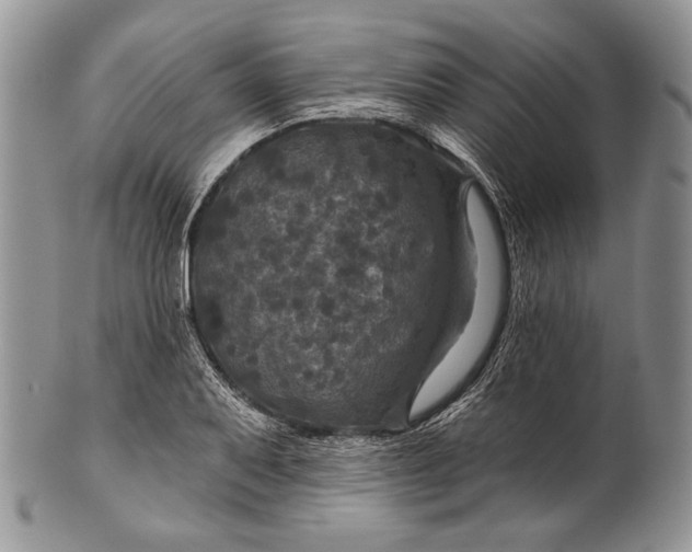 X0000100371079200806201622