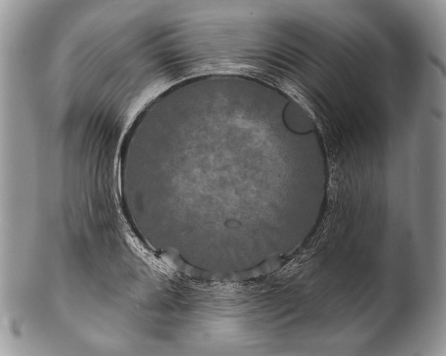 X0000100371080200806201622