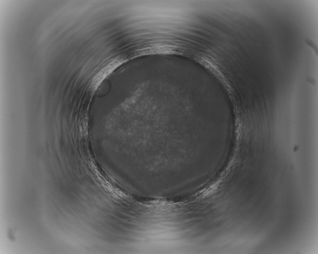 X0000100371081200806201622